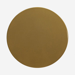 Terrell Indoor / Outdoor Round Side Table