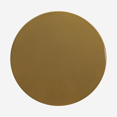 Terrell Indoor / Outdoor Round Side Table