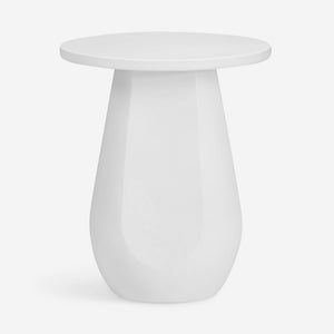 Terrell Indoor / Outdoor Round Side Table