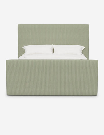 Olive Stripe