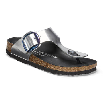 Silver Silver/Metallic Silver