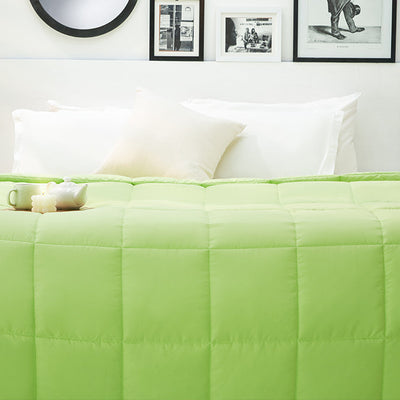 Solid Sgreen/Aqua Blu - Light Green Microfiber Shell Double Quilt / AC Comforter - Silkysoy By Spaces