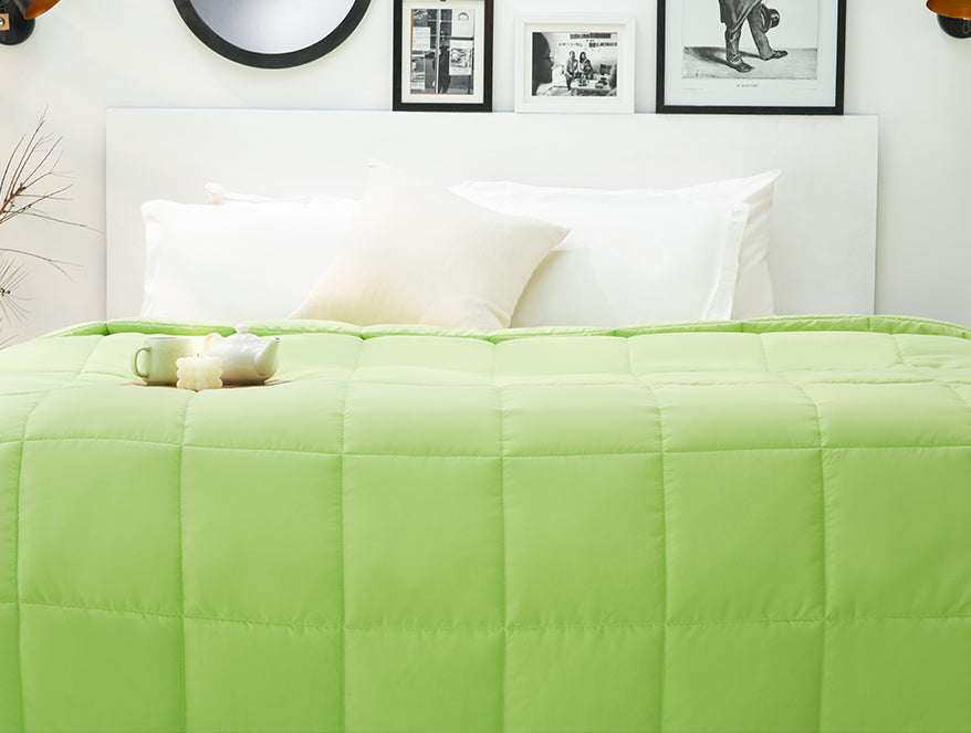Solid Sgreen/Aqua Blu - Light Green Microfiber Shell Double Quilt / AC Comforter - Silkysoy By Spaces