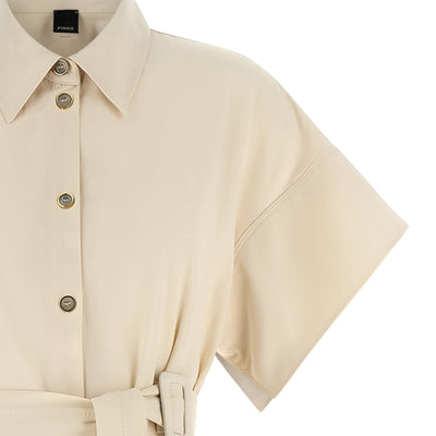 Pinko Alesha Dress