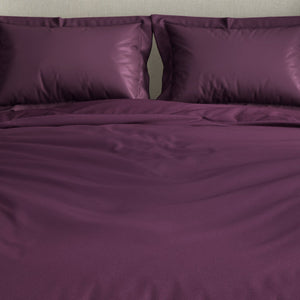 Solid Purple Solid Fleece Blanket - Cushlon By Spaces