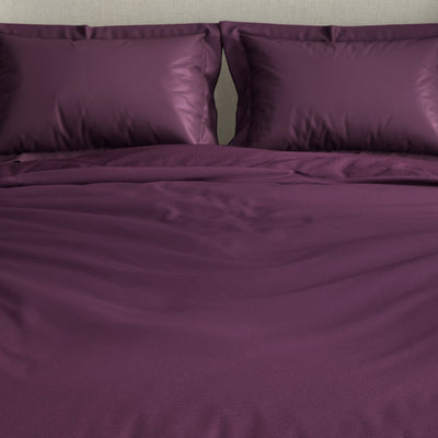 Solid Purple Solid Fleece Blanket - Cushlon By Spaces