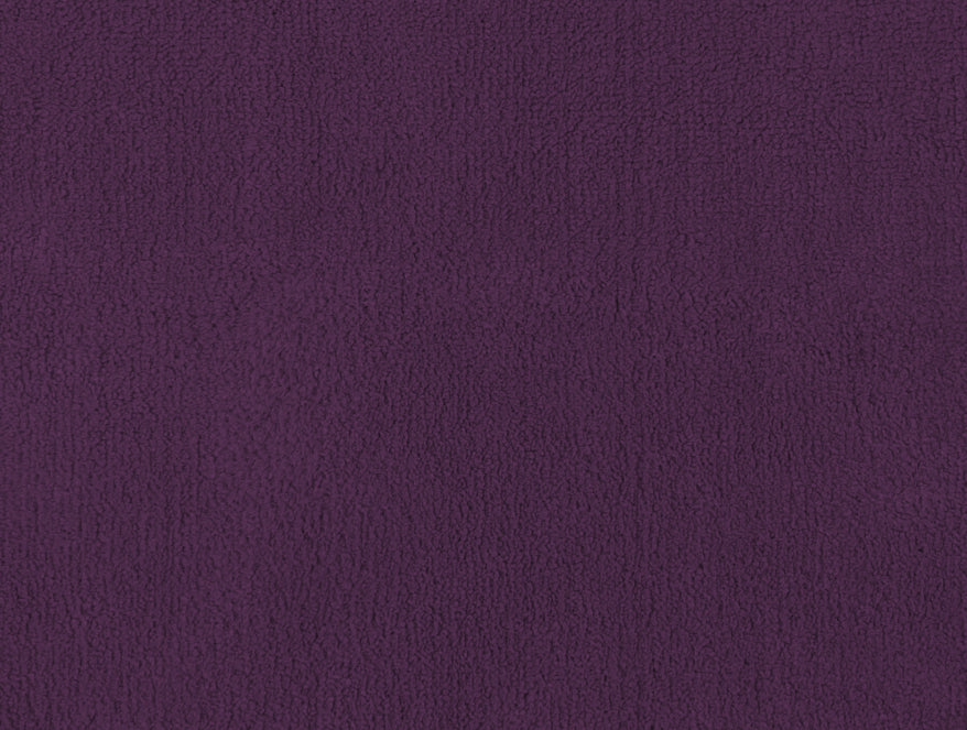 Solid Purple Solid Fleece Blanket - Cushlon By Spaces