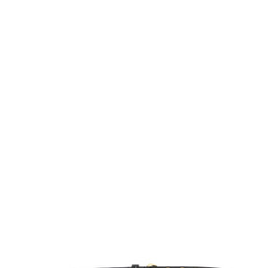 Pinko Crystal Studs Belt