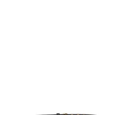 Pinko Crystal Studs Belt