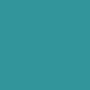 Solid Teal/ Coral - Teal 100% Cotton Shell Double Quilt / AC Comforter - Everyday Essentials By Spaces