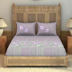 Pichwai Ornate Blush 100% Cotton King Size Bedsheet - Rangana by Spaces