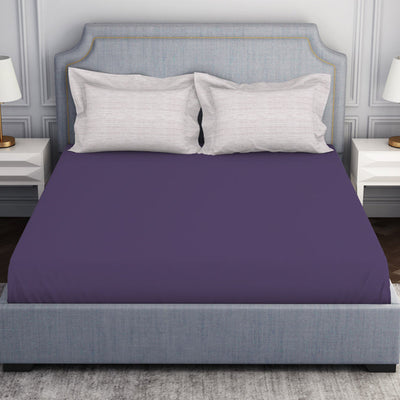 Tonalelgence Ornate Light Violet 100% Cotton King Size Bedsheet - Essentials by Spaces