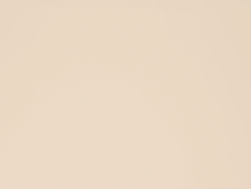 Tonalelgence Ornate Brown 100% Cotton King Size Bedsheet - Essentials by Spaces
