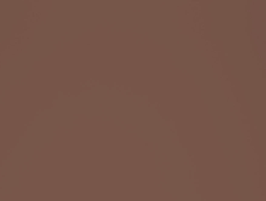 Tonalelgence Ornate Cream 100% Cotton King Size Bedsheet - Essentials by Spaces