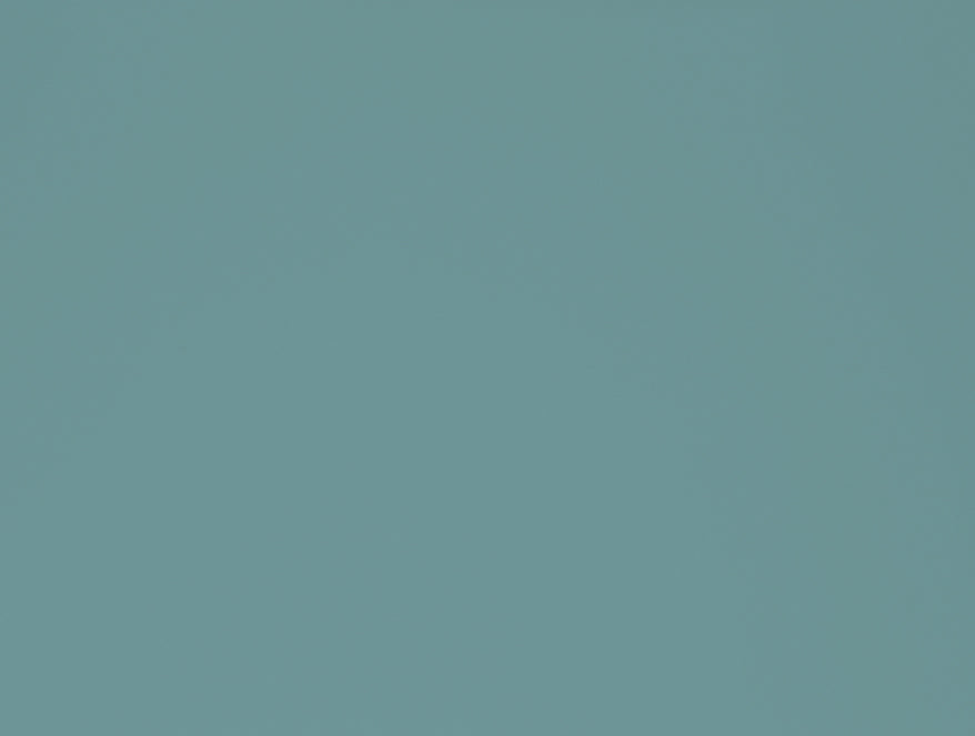 Tonalelgence Ornate Light Blue 100% Cotton King Size Bedsheet - Essentials by Spaces