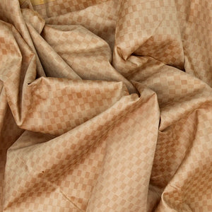 Taupe Handloom Kanchipuram Payadi Silk Saree With Cream Border