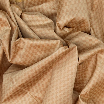 Taupe Handloom Kanchipuram Payadi Silk Saree With Cream Border