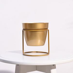 Ganpati Decor Festive Bundle