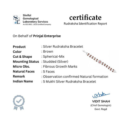 Rudraksha Silver Om in Round Shape double line Bracelet