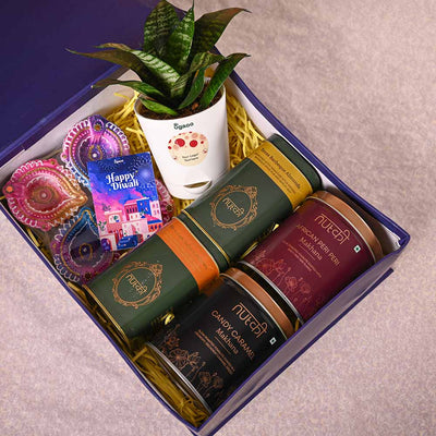 Snake Plant - Green & Nutki Gift Hamper