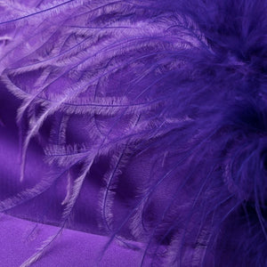 P.A.R.O.S.H. Feathered mini dress