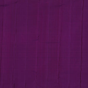 Kanchipattu Aqua-Blue Saree