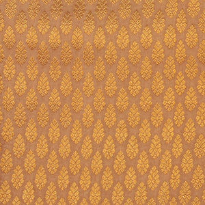 Kanchipattu Brocade Beige Saree