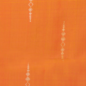 Gorgeous Orange Saree