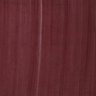 Kalamkari Hand-Painted Tussar Silk Saree