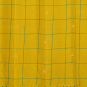 Gadwal Silk Spring-Green Kattam Saree