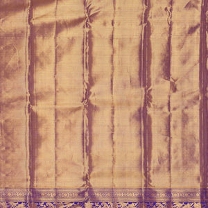 Kanchipattu An Ethereal Metallic-Gold Saree