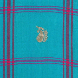Gadwal Silk Sky Blue Saree