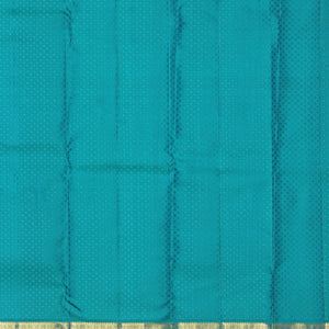 Kanchipattu Brocade Coral Peach Saree