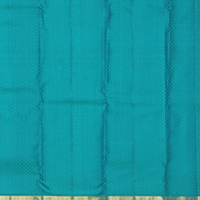 Kanchipattu Brocade Coral Peach Saree