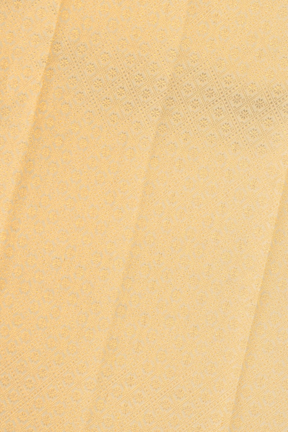 Kanchipattu Brocade Cream Saree