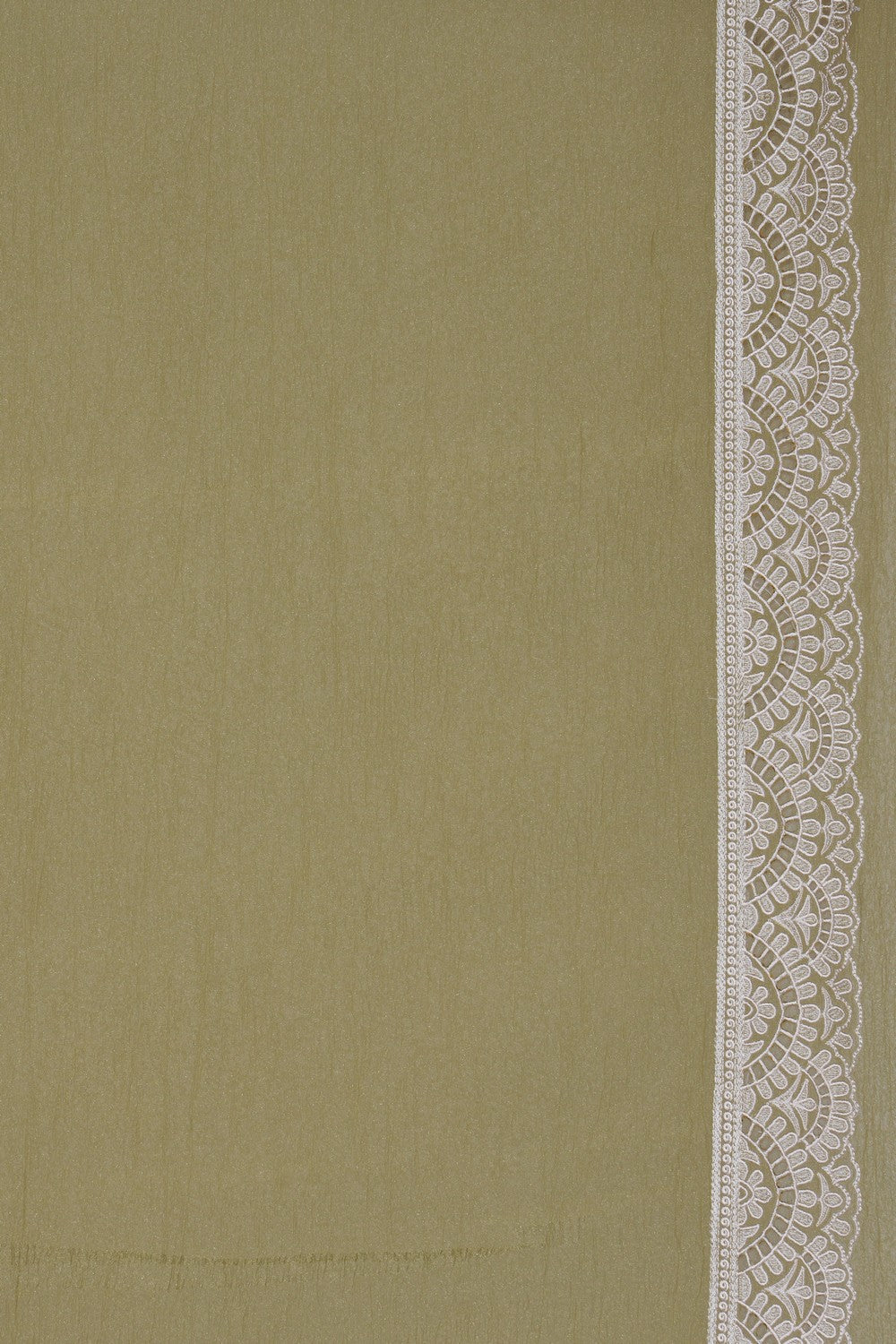 Crushed Organza Tissue Embroidery Saree