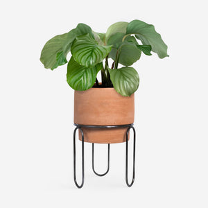 Jaro Terracotta Planter Pot by Meso