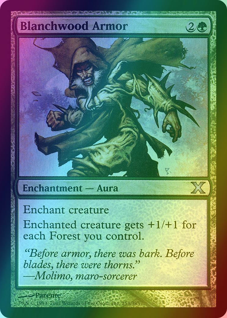 Blanchwood Armor [253] [Tenth Edition] [Foil]