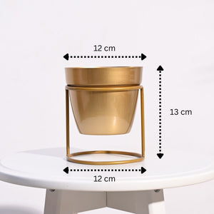 Ganpati Decor Festive Bundle