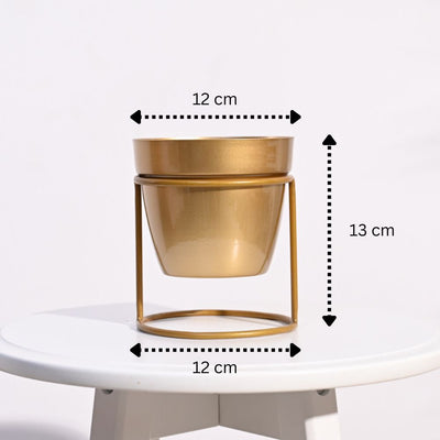 Ganpati Decor Festive Bundle