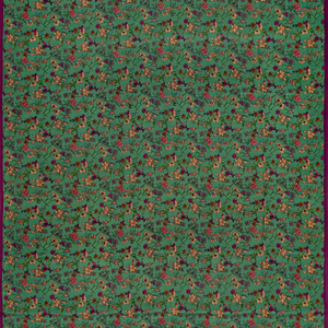 Sea Green Woven Digital Printed Crepe Silk Saree With Floral Motifs