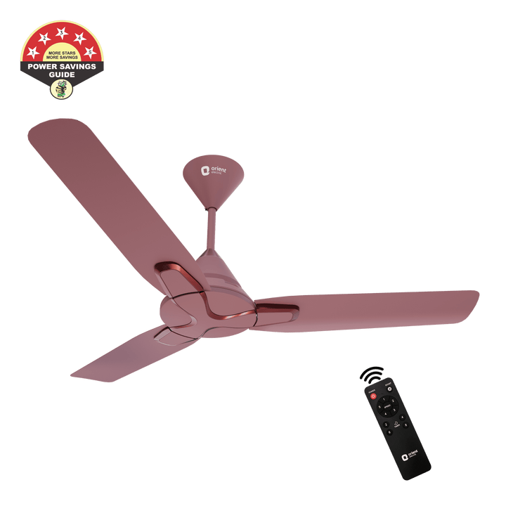 1200mm Jazz BLDC Decorative Ceiling Fan With Remote