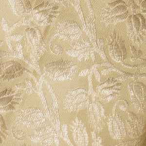 Kanchipattu Brocade Cream Saree