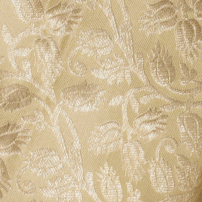 Kanchipattu Brocade Cream Saree