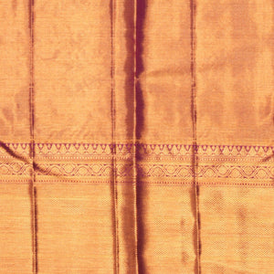 Kanchipattu Brocade Blue Saree