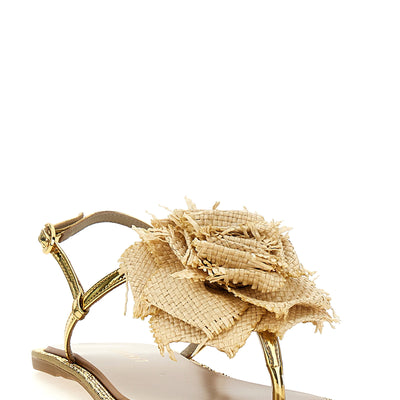 Le Silla Rose Sandals