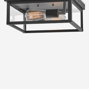 Fraser Flush Mount Light