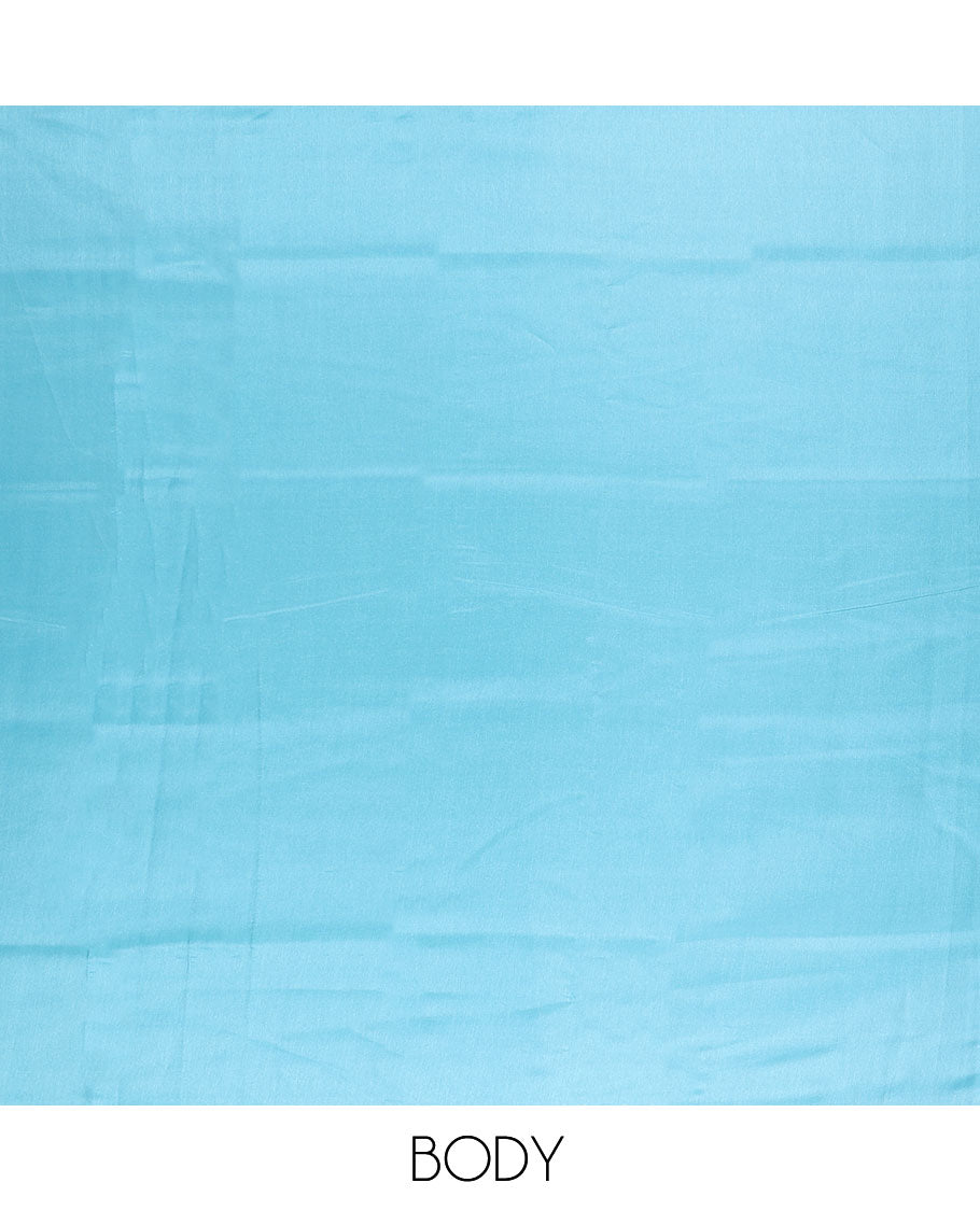 Borderless sky blue plain design kamala silk saree, contrast intricately designed paisley design digital printed blouse