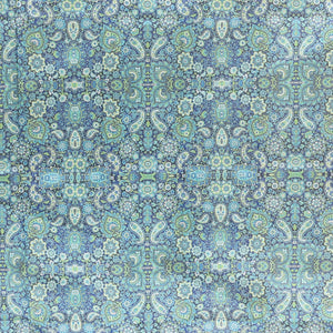 Borderless sky blue plain design kamala silk saree, contrast intricately designed paisley design digital printed blouse