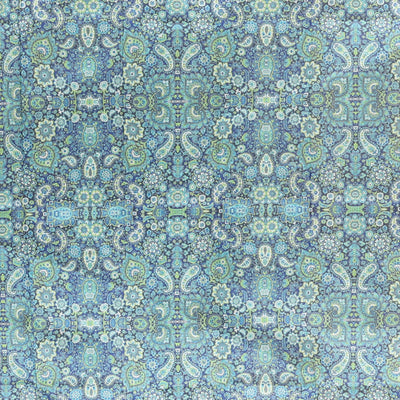 Borderless sky blue plain design kamala silk saree, contrast intricately designed paisley design digital printed blouse